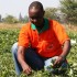 Africa’s Farmers Seek Private Money