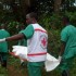 OPINION: Ebola Crisis Reversing Development Gains In Liberia