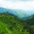 Jamaica’s Blue and John Crow Mountains Inscribed To UNESCO’s Prestigious World Heritage List