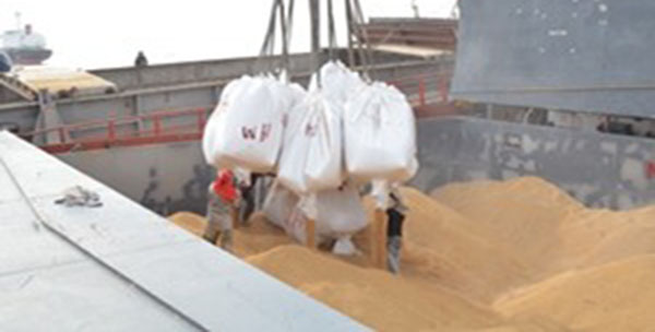 Jamaican Authorities Seize Rice Shipment From Suriname