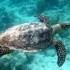 UN Begins Negotiations On Treaty To Protect Marine Resources