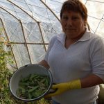 Land Tenure Still A Challenge For Women In Latin America