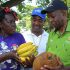 Jamaica’s Agriculture Ministry To Restart Farmers’ Markets Across Island