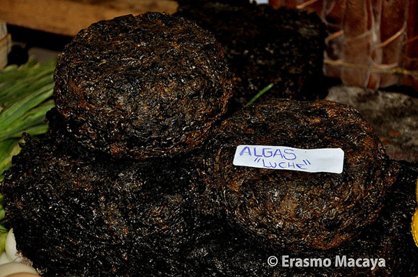 “Luche” (Pyropia and Porphyra species of algae) on sale in a market in Chile, where it is finding a niche among traditional produce. Seaweed was part of the diet of several indigenous peoples in the country and its consumption is beginning to take off due to its high nutritive value. Photo courtesy of Erasmo Macaya.