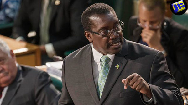 Jamaica’s Government To Undertake Audit Of Borders