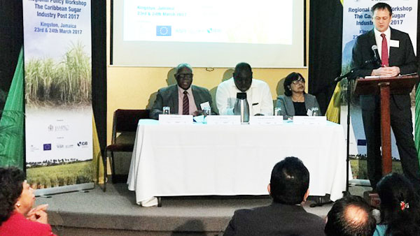 Caribbean Governments Urged To Provide Some Level Of Protection To Sugar Industry