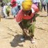 Investing In Zimbabwe’s Smallholder Farmers