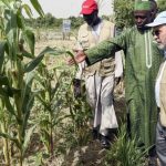 World Must Act Now On Lake Chad Basin Crisis, Says UN’s FAO Director-General Graziano da Silva