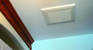 How To Get Rid Of Bathroom Ceiling Mould