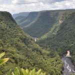 Mixed Signals As Guyana Develops Its Green Economy Strategy