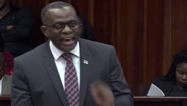 Opposition Leader In St. Lucia Files Motion Of No Confidence Against Prime Minister