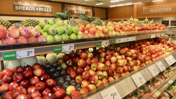Canada Implements New Food Guidelines, But What About The Food Waste?