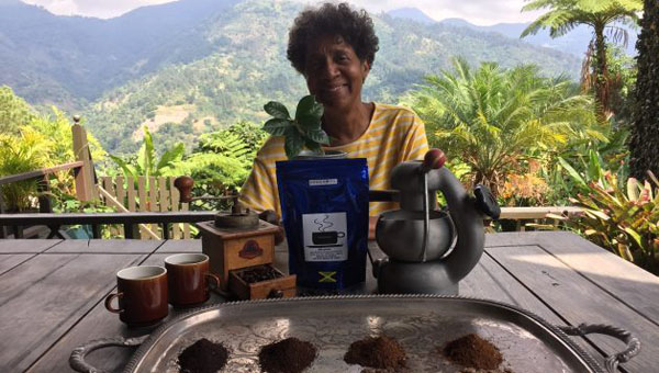 Wake Up And Smell The Organic Coffee In Jamaica