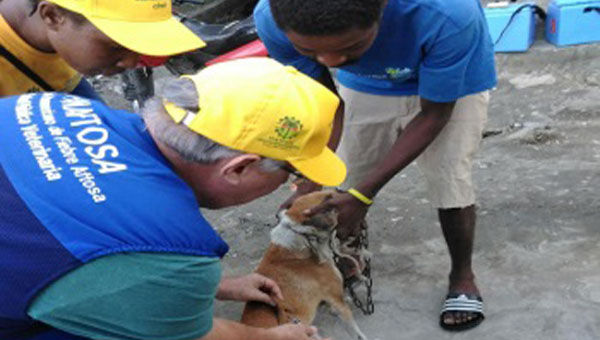 Pan American Health Organisation Launches Rabies Elimination Program In Haiti