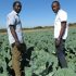 Does Africa’s Food Security Really Lie With Young Farmers?