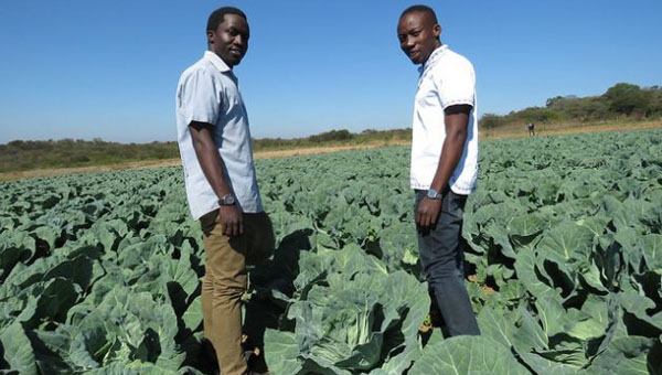 Does Africa’s Food Security Really Lie With Young Farmers?