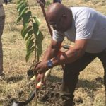 Barbados Government Launches Project To Plant More Than A Million Trees