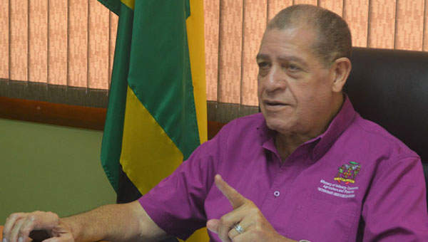 Jamaican Government Sets Aside Millions To Assist Small- And Medium-Sized Enterprises