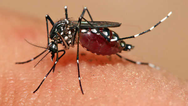 Trinidadians Urged To Ensure They Are Vaccinated Against Yellow Fever