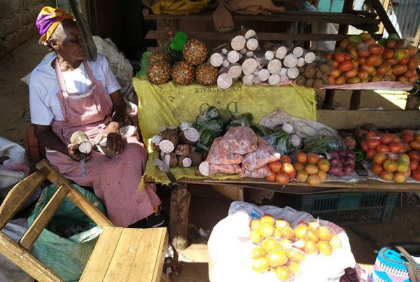A woman farmer selling her produce at a local market in Casamence, southern Senegal. In sub-Saharan Africa, 90 percent of those in informal employment, which is typically low-skilled with poor working conditions, are women. A UN high-level side event aimed to discuss gender equality, women’s participation and decision-making in economic life. Photo credit: Stella Paul/IPS.