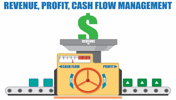 Personal Revenue, Profit, And Cash Flow Management