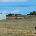 Marble Cricket In Barbados Revived By Lodge Old Scholars