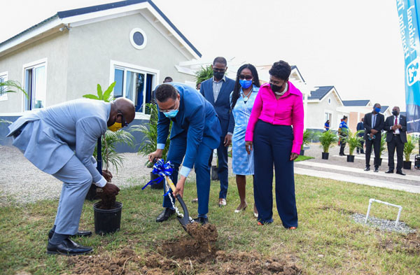 Prime Minister Holness (second left), and Housing Minister Charles (left), plant trees at the newly-opened Twickenham Glades housing development in St. Catherine. Photo credit: Adrian Walker.