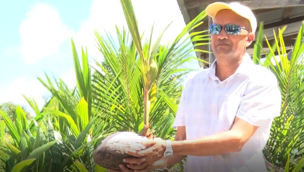 Coconut Industry In Guyana, Caribbean And Worldwide Expanding, Says CARDI’s Executive Director