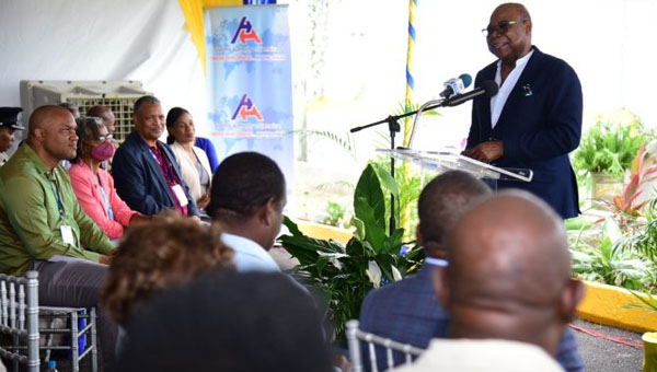 Jamaica’s Tourism Minister Suggests Single-Visa Regime For CARICOM